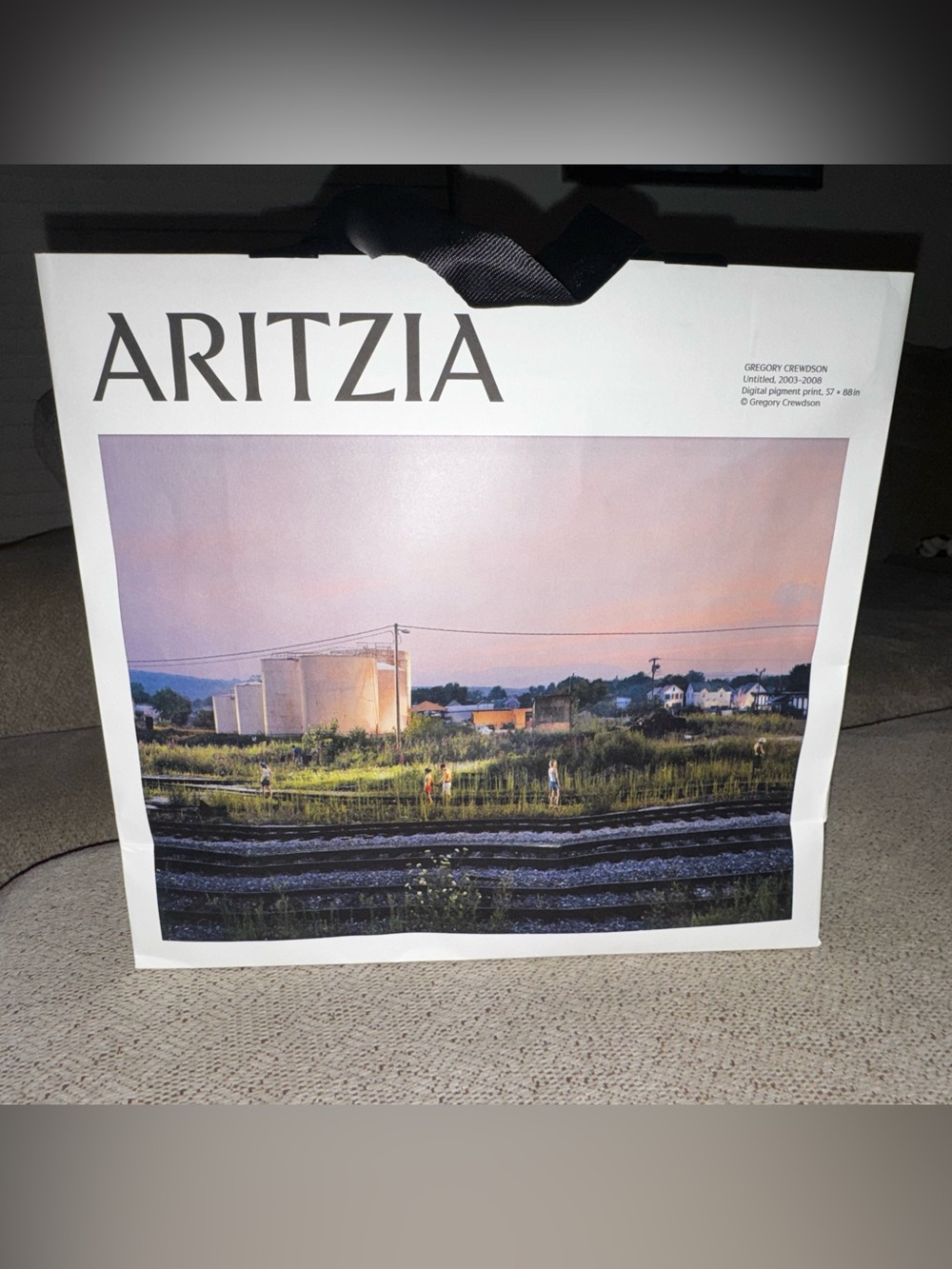 Aritzia Poster Print Shopping Bag- Medium Size